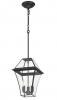 RYE 27 SOLID BRASS EXTERIOR PENDANT IP43. BRASS OR BLACK